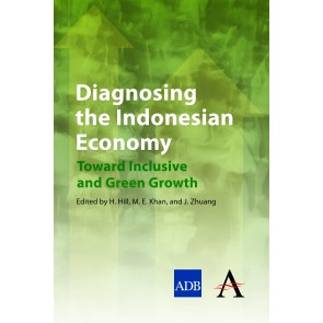 Diagnosing the Indonesian Economy